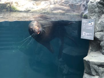 環境水族館アクアマリンふくしまに投稿された画像（2026/2/7）