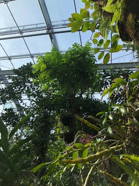 環境水族館アクアマリンふくしまに投稿された画像（2026/2/7）