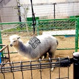 天王寺動物園に投稿された画像（2026/2/7）