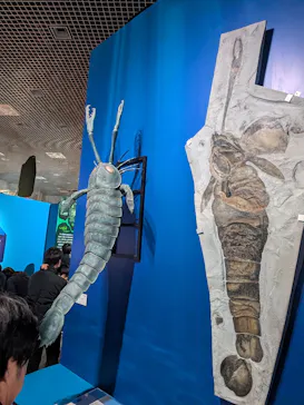 特別展「大絶滅展―生命史のビッグファイブ」に投稿された画像（2026/2/7）