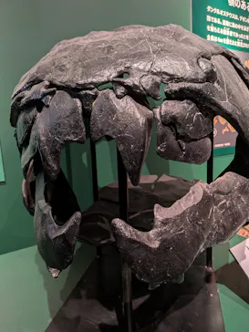 特別展「大絶滅展―生命史のビッグファイブ」に投稿された画像（2026/2/7）