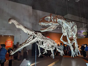 特別展「大絶滅展―生命史のビッグファイブ」に投稿された画像（2026/2/7）