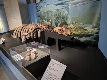 特別展「大絶滅展―生命史のビッグファイブ」に投稿された画像（2026/2/7）