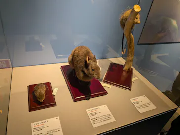 特別展「大絶滅展―生命史のビッグファイブ」に投稿された画像（2026/2/7）