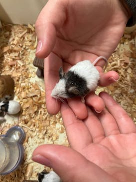 アニタッチ 東京ドームシティに投稿された画像（2026/2/7）