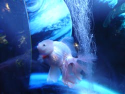 ひらかたパークに投稿された画像（2026/2/7）