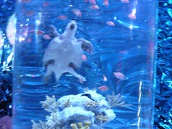 ひらかたパークに投稿された画像（2026/2/7）