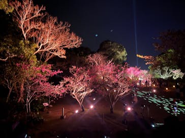 今帰仁城跡に投稿された画像（2026/2/7）