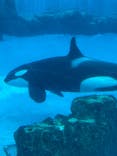 名古屋港水族館に投稿された画像（2026/2/7）