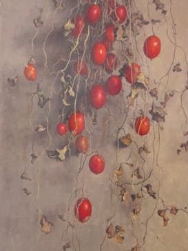 豊田市美術館に投稿された画像（2026/2/7）