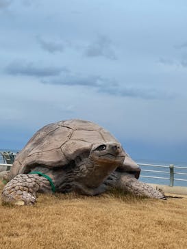 アクアワールド茨城県大洗水族館に投稿された画像（2026/2/7）