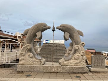 アクアワールド茨城県大洗水族館に投稿された画像（2026/2/7）
