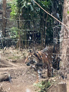 恩賜上野動物園に投稿された画像（2026/2/7）
