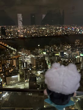 梅田スカイビル・空中庭園展望台に投稿された画像（2026/2/7）