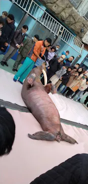 ゼロ距離水族館 伊勢シーパラダイスに投稿された画像（2026/2/7）