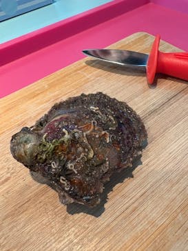 菊池パールに投稿された画像（2026/2/7）