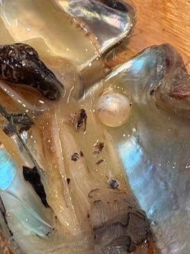 菊池パールに投稿された画像（2026/2/7）