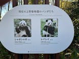 恩賜上野動物園に投稿された画像（2026/2/8）