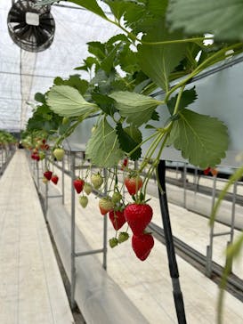 株式会社こまち野に投稿された画像（2026/2/8）