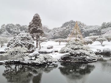 新宿御苑に投稿された画像（2026/2/8）