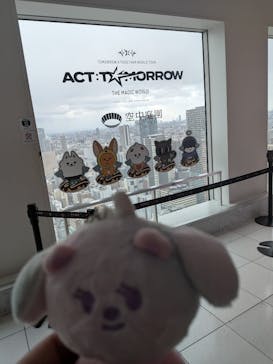 梅田スカイビル・空中庭園展望台に投稿された画像（2026/2/8）