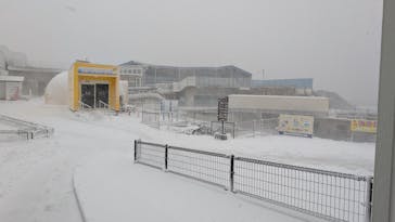 越前松島水族館に投稿された画像（2026/2/8）