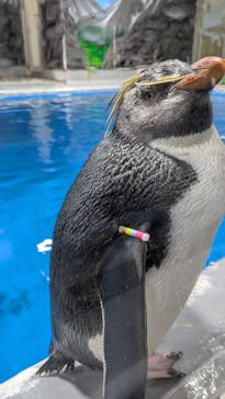 越前松島水族館に投稿された画像（2026/2/8）