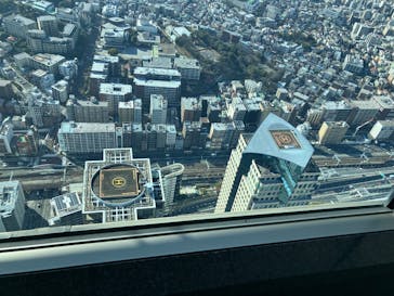 横浜ランドマークタワー 69階展望フロア スカイガーデンに投稿された画像（2026/2/8）