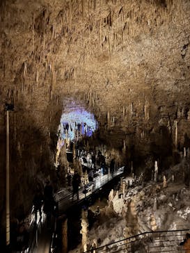 おきなわワールドに投稿された画像（2026/2/8）