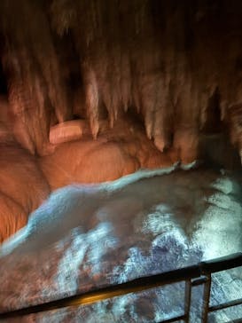 おきなわワールドに投稿された画像（2026/2/8）