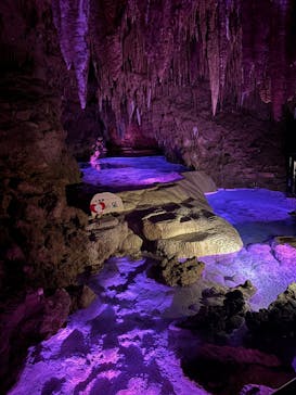 おきなわワールドに投稿された画像（2026/2/8）