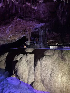 おきなわワールドに投稿された画像（2026/2/8）