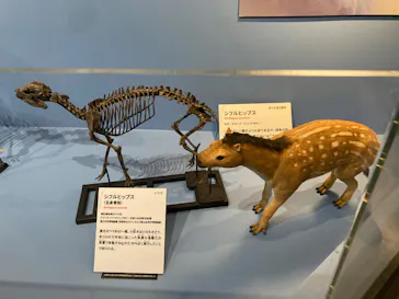 特別展「大絶滅展―生命史のビッグファイブ」に投稿された画像（2026/2/8）