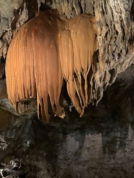 CAVE OKINAWAに投稿された画像（2026/2/8）