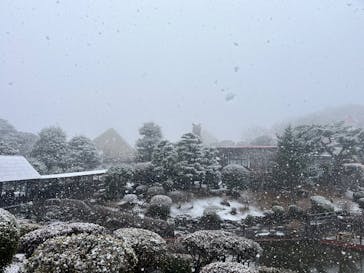 伊豆シャボテン動物公園に投稿された画像（2026/2/8）