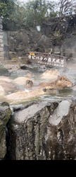 伊豆シャボテン動物公園に投稿された画像（2026/2/8）