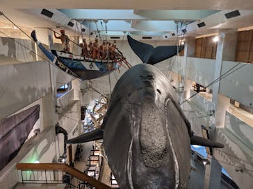 太地町立くじらの博物館に投稿された画像（2026/2/8）