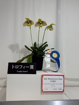 世界らん展2026-花と緑の祭典-に投稿された画像（2026/2/8）