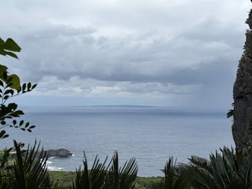 アスムイハイクスに投稿された画像（2026/2/8）