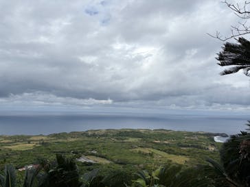 アスムイハイクスに投稿された画像（2026/2/8）