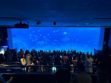 沖縄美ら海水族館に投稿された画像（2026/2/8）