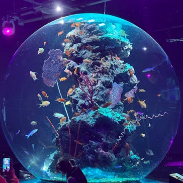 AQUARIUM × ART　atoaに投稿された画像（2026/2/8）