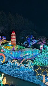 伊豆高原グランイルミに投稿された画像（2026/2/8）