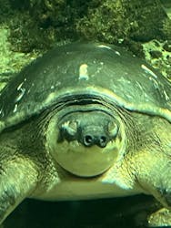 名古屋港水族館に投稿された画像（2026/2/8）