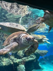 名古屋港水族館に投稿された画像（2026/2/8）