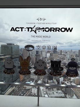 梅田スカイビル・空中庭園展望台に投稿された画像（2026/2/8）