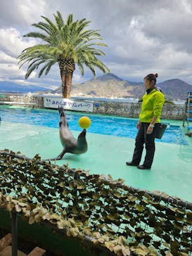 あわしまマリンパークに投稿された画像（2026/2/8）