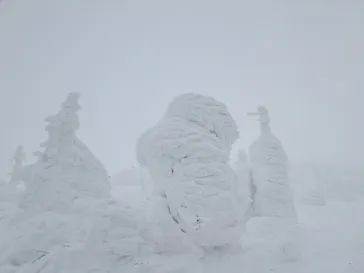 蔵王ロープウェイに投稿された画像（2026/2/8）