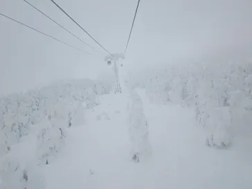蔵王ロープウェイに投稿された画像（2026/2/8）