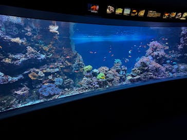 サンシャイン水族館に投稿された画像（2026/2/8）